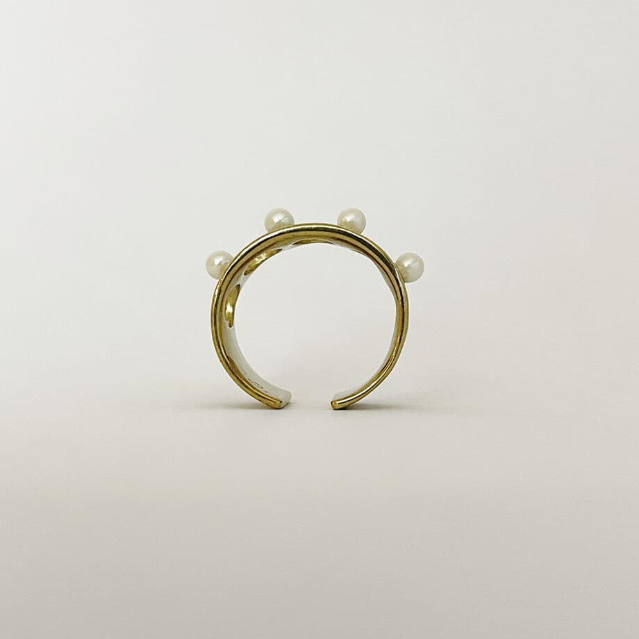 Aquvii(アクビ) | poetry ring - Sopwith camel