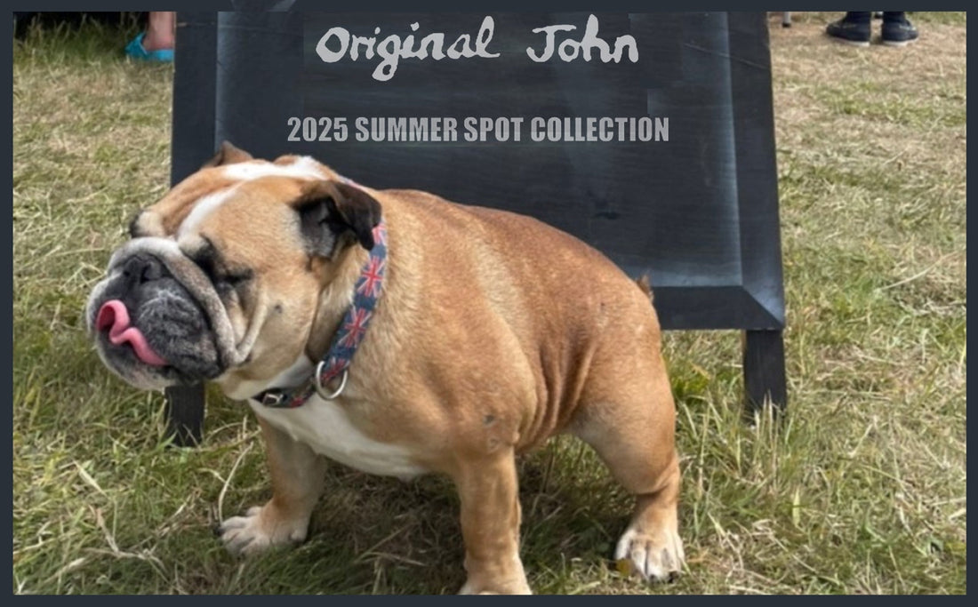 【受付終了】Original John 2025 Summer プレオーダー