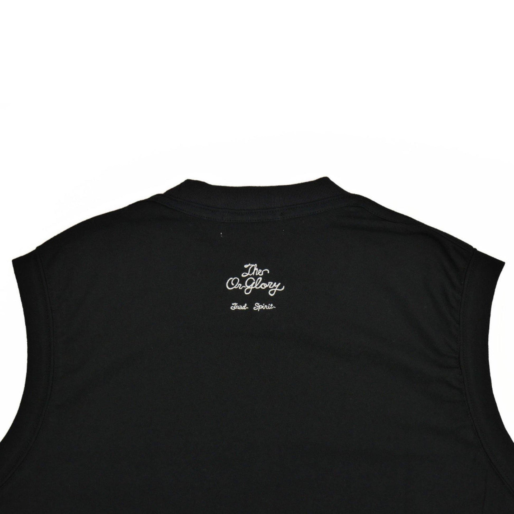 OR GLORY | N/S Tee - Sopwith camel
